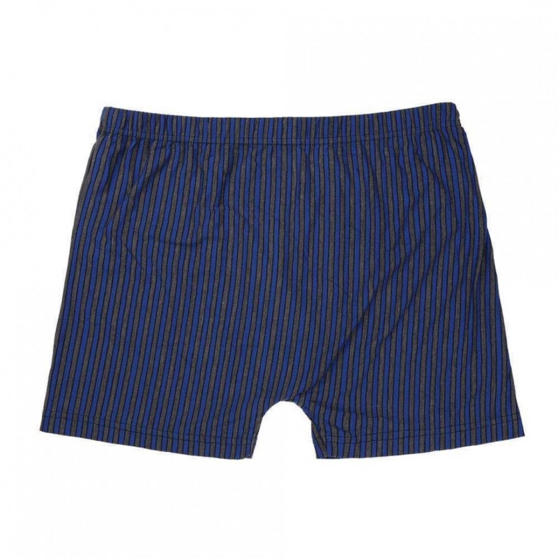 Bixtra боксерки 4XL-7XL KL-H-3203E-bg
