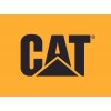 Caterpillar