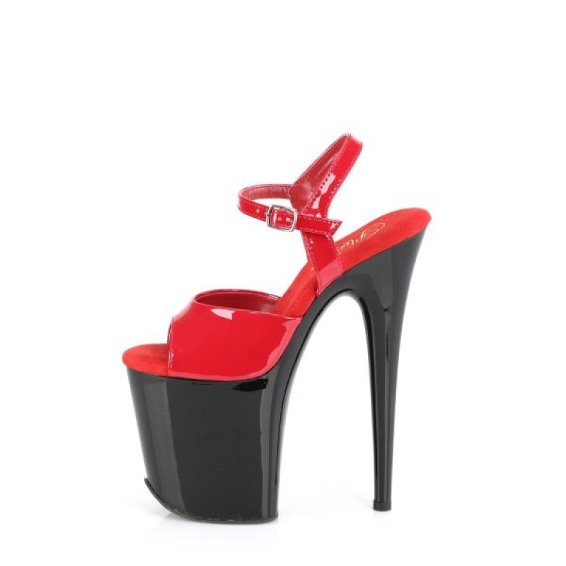 Pleaser FLAMINGO-809 FLAM809/R/B-bg